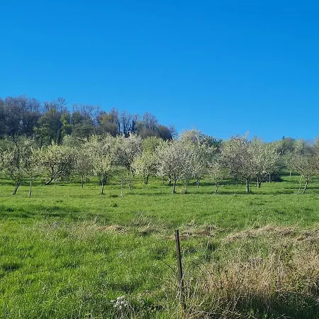 Maison Olei-villa Сasa de vacaciones
